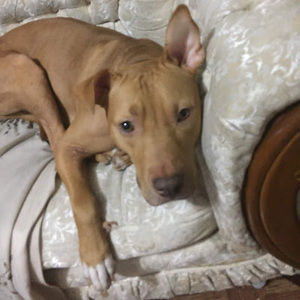 Meet your Posher, Christopher